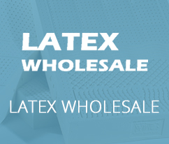 Web Development for Latex Wholesale