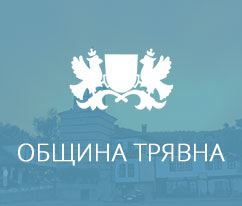 Web Development for Община Трявна