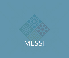 Web Development for МЕСИ ООД